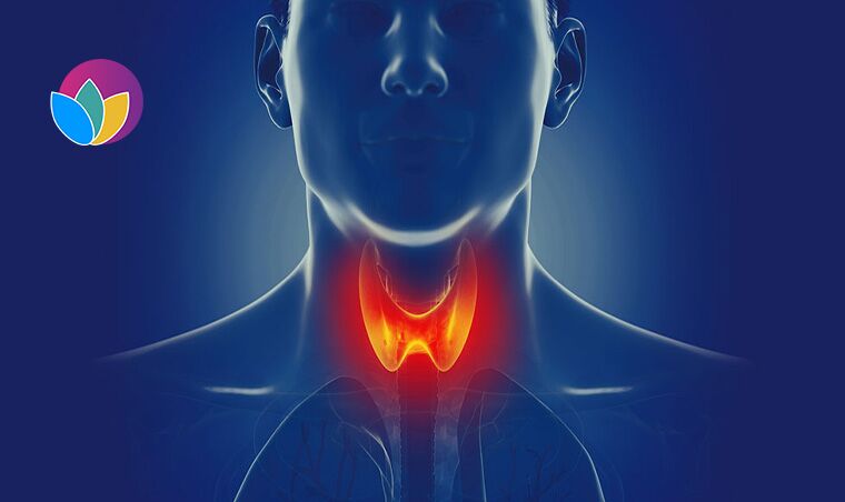 Hypothyroidism Treatment丨Restore Thyroid Function & Promote Metabolism