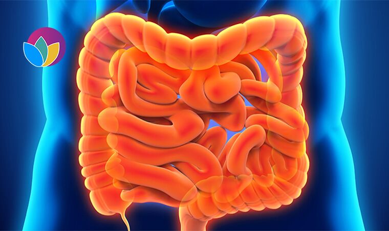 Inflammatory Bowel Disease Treatment丨Reduce Inflammation & Decrease Symptoms